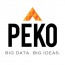 Peko Data LLC logo